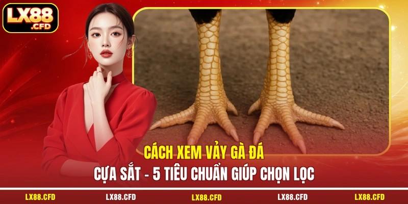 Cách Xem Vảy Gà Đá Cựa Sắt - 5 Tiêu Chuẩn Giúp Chọn Lọc