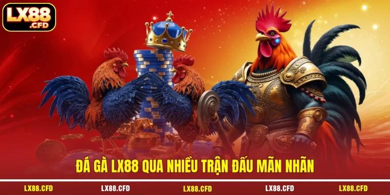 Đá gà LX88 qua nhiều trận đấu mãn nhãn Đá gà LX88 qua nhiều trận đấu mãn nhãn