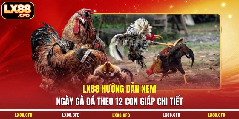 LX88 hướng dẫn xem ngày gà đá theo 12 con giáp chi tiết