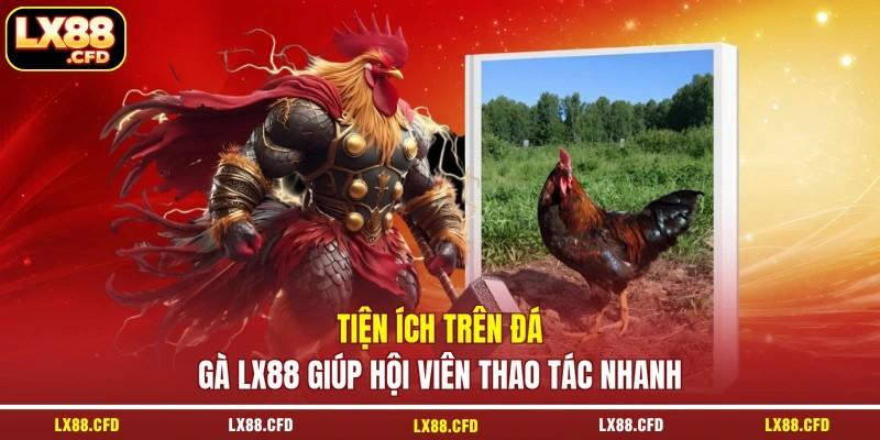 Tiện ích trên đá gà LX88 giúp hội viên thao tác nhanh Tiện ích trên đá gà LX88 giúp hội viên thao tác nhanh