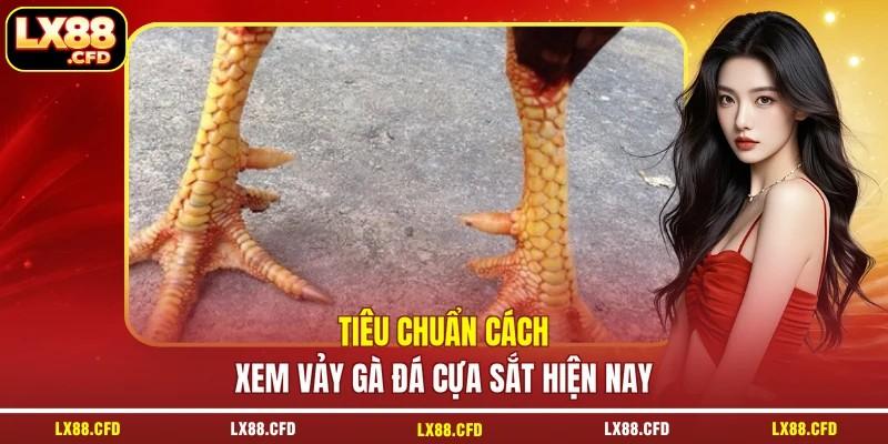 Tiêu chuẩn cách xem vảy gà đá cựa sắt hiện nay